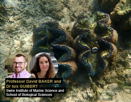 Giant Clam Feeding Strategies Linked to Future Survival 